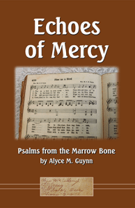 Echoes of Mercy by Alyce M. Guynn book cover